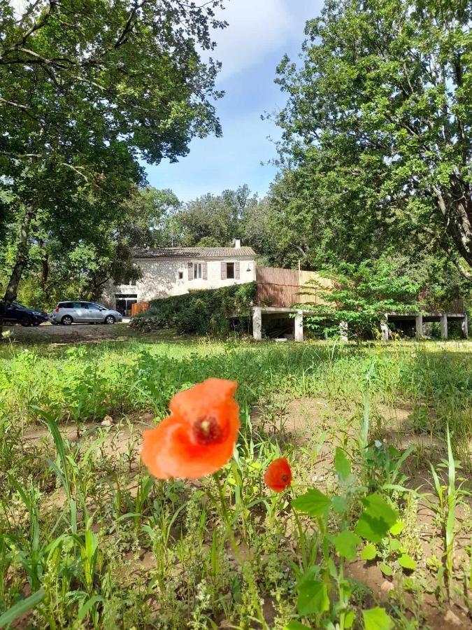 Dions Le Mas Du Coquelicot מראה חיצוני תמונה